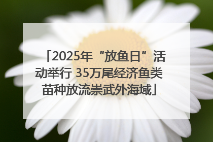 2025年“放鱼日”活动举行 35万尾经济鱼类苗种放流崇武外海域