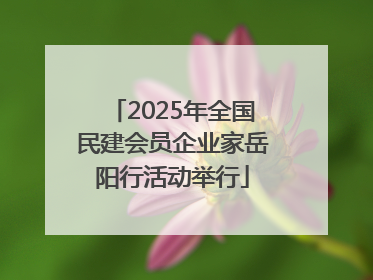 2025年全国民建会员企业家岳阳行活动举行