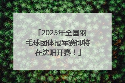 2025年全国羽毛球团体冠军赛即将在沈阳开赛！