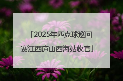 2025年匹克球巡回赛江西庐山西海站收官
