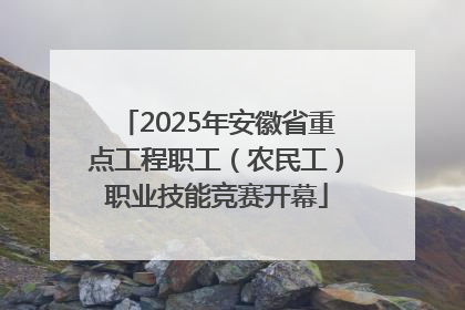 2025年安徽省重点工程职工（农民工）职业技能竞赛开幕