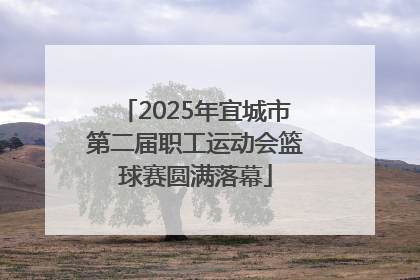 2025年宜城市第二届职工运动会篮球赛圆满落幕