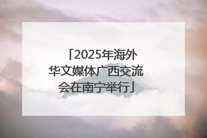 2025年海外华文媒体广西交流会在南宁举行