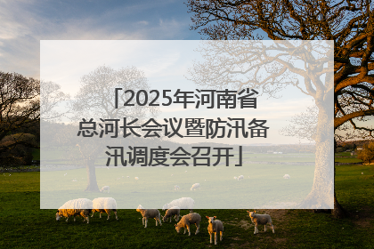 2025年河南省总河长会议暨防汛备汛调度会召开