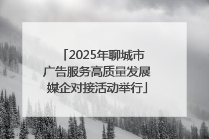 2025年聊城市广告服务高质量发展媒企对接活动举行