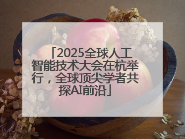2025全球人工智能技术大会在杭举行，全球顶尖学者共探AI前沿