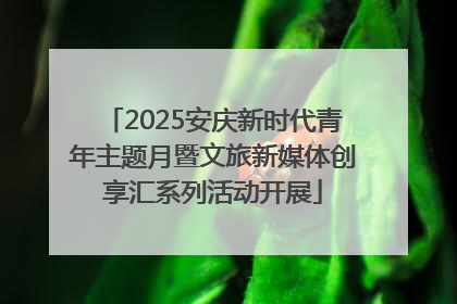 2025安庆新时代青年主题月暨文旅新媒体创享汇系列活动开展
