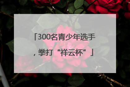 300名青少年选手，拳打“祥云杯”