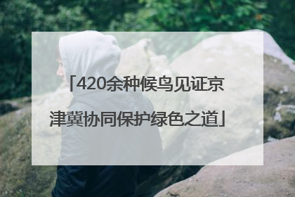 420余种候鸟见证京津冀协同保护绿色之道