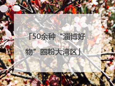 50余种“淄博好物”圈粉大湾区