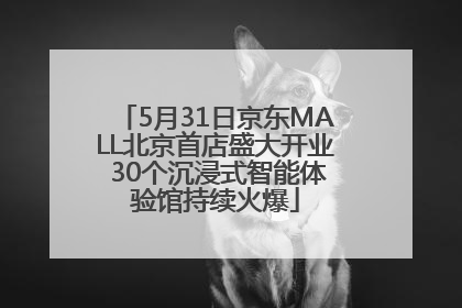 5月31日京东MALL北京首店盛大开业 30个沉浸式智能体验馆持续火爆