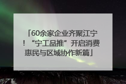 60余家企业齐聚江宁！“宁工品推”开启消费惠民与区域协作新篇
