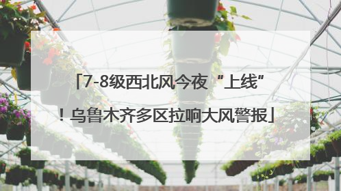 7-8级西北风今夜“上线”！乌鲁木齐多区拉响大风警报