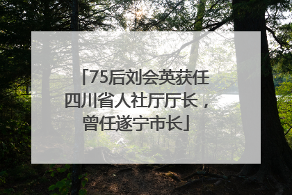 75后刘会英获任四川省人社厅厅长，曾任遂宁市长