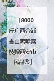 8000斤广西合浦香山鸡嘴荔枝赠西安市民品鉴