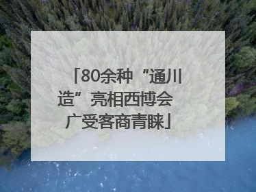 80余种“通川造”亮相西博会 广受客商青睐