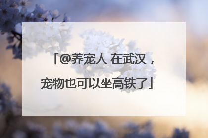@养宠人 在武汉，宠物也可以坐高铁了