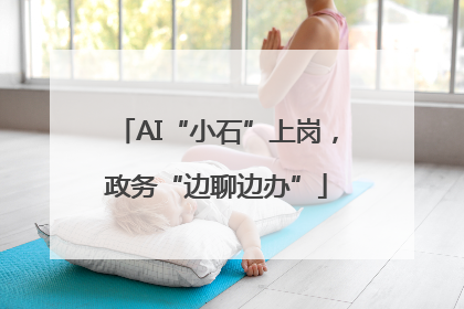 AI“小石”上岗，政务“边聊边办”