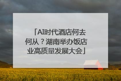 AI时代酒店何去何从？湖南举办饭店业高质量发展大会