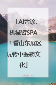 AI舌诊、机械臂SPA！看山东展区玩转中医药文化