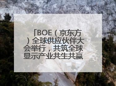 BOE（京东方）全球供应伙伴大会举行，共筑全球显示产业共生共赢新格局
