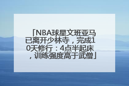 NBA球星文班亚马已离开少林寺，完成10天修行：4点半起床，训练强度高于武僧
