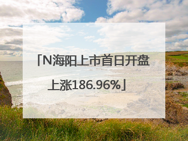 N海阳上市首日开盘上涨186.96%