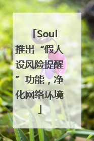 Soul推出“假人设风险提醒”功能，净化网络环境