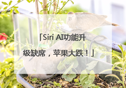 Siri AI功能升级缺席，苹果大跌！
